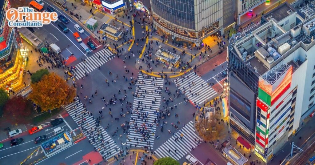 Japan Work Visa
