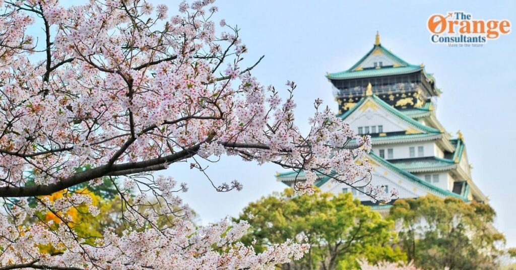 Japan Work Visa