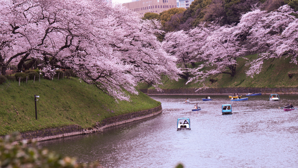 Tokyo University Japan