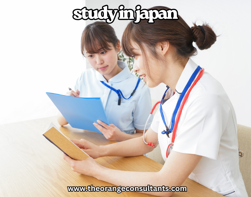 study in Japan