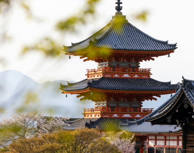 Japan Work Visa Price in Pakistan